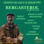 ntoni_bergamotto-150x150 Bergasterol