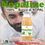 nopaline_nopal-150x150 Nopaline