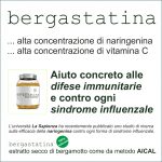 bergastatina_naringenina_farmacia-150x150 Bergastatina